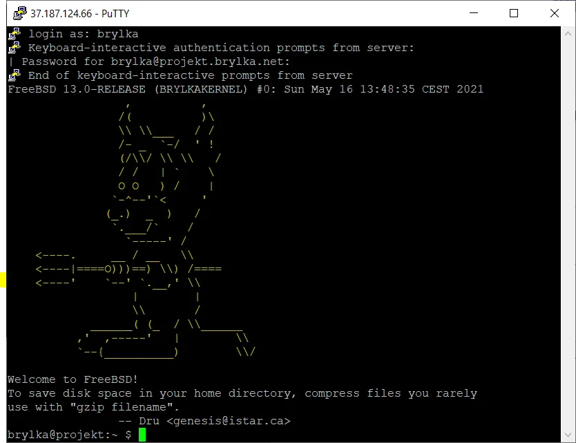 Test usługi SSH.